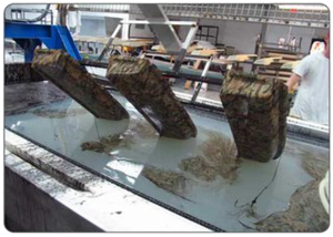 hydrographics business
